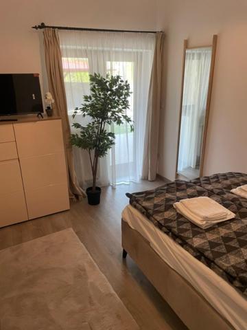Szoegedi Villa Badacsonytomaj Esterno foto