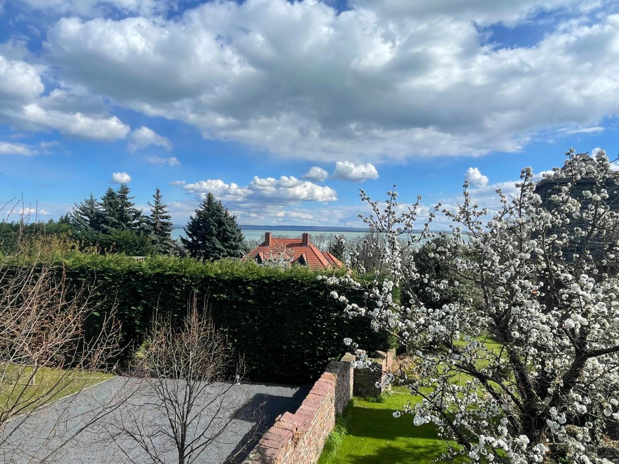 Szoegedi Villa Badacsonytomaj Esterno foto