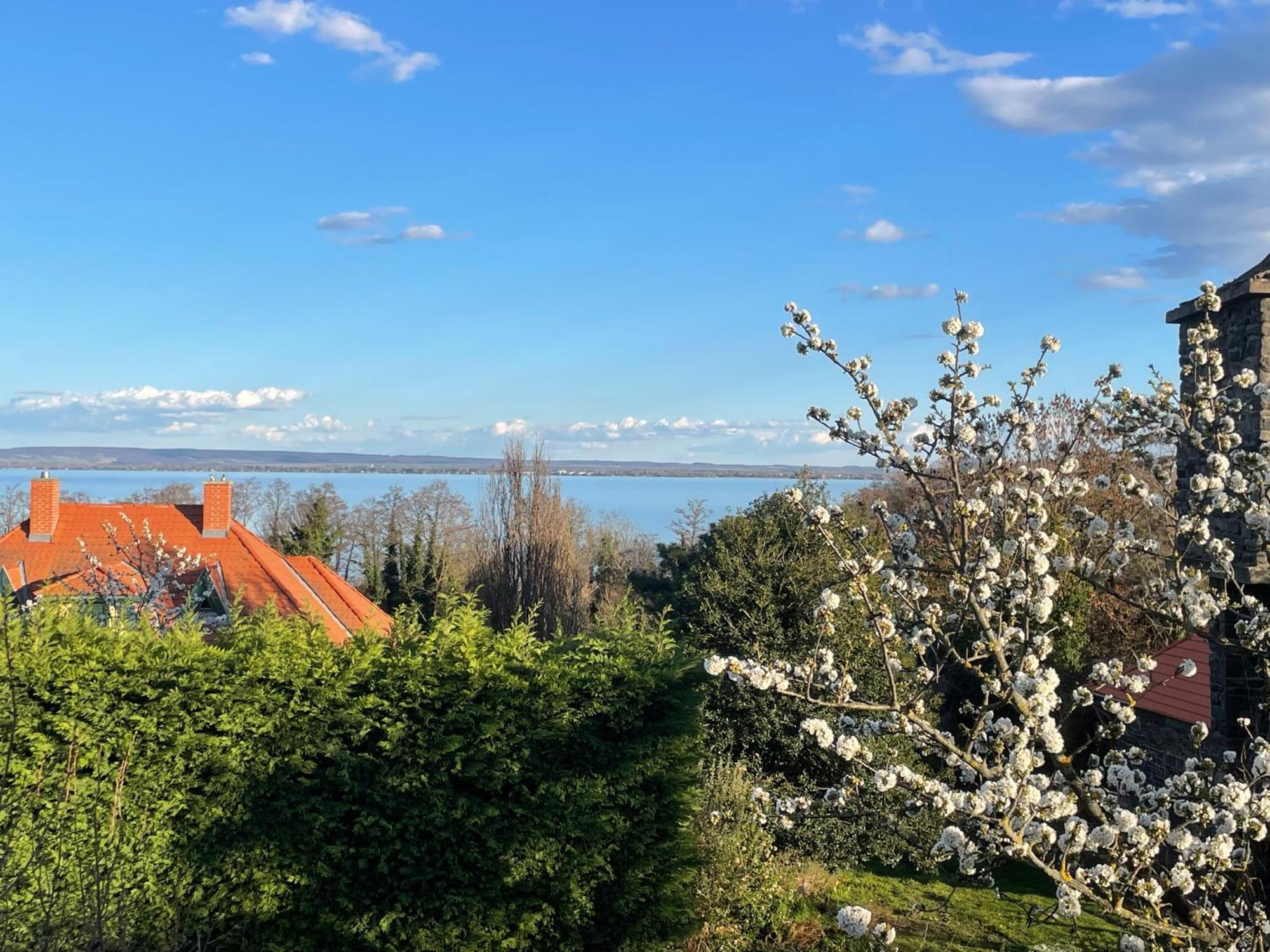 Szoegedi Villa Badacsonytomaj Esterno foto